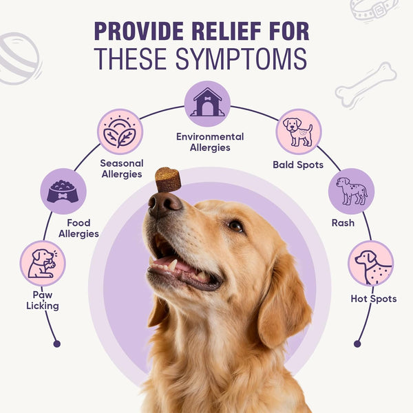 Dog Allergy Chews 200Ct - Dog Allergy and Itching Skin Relief anti Itch Aller Immune Bites for Dogs Licking Paws Treatment Relief Itchy Chew Probiotics Vitamins for Skin and Coat Allergies - Lamb | Probiotics & Vitamins Bites for Dogs Licking Paws.Anti-Itch Treatments to Soothe Allergies & Support Healthy Coat Health3