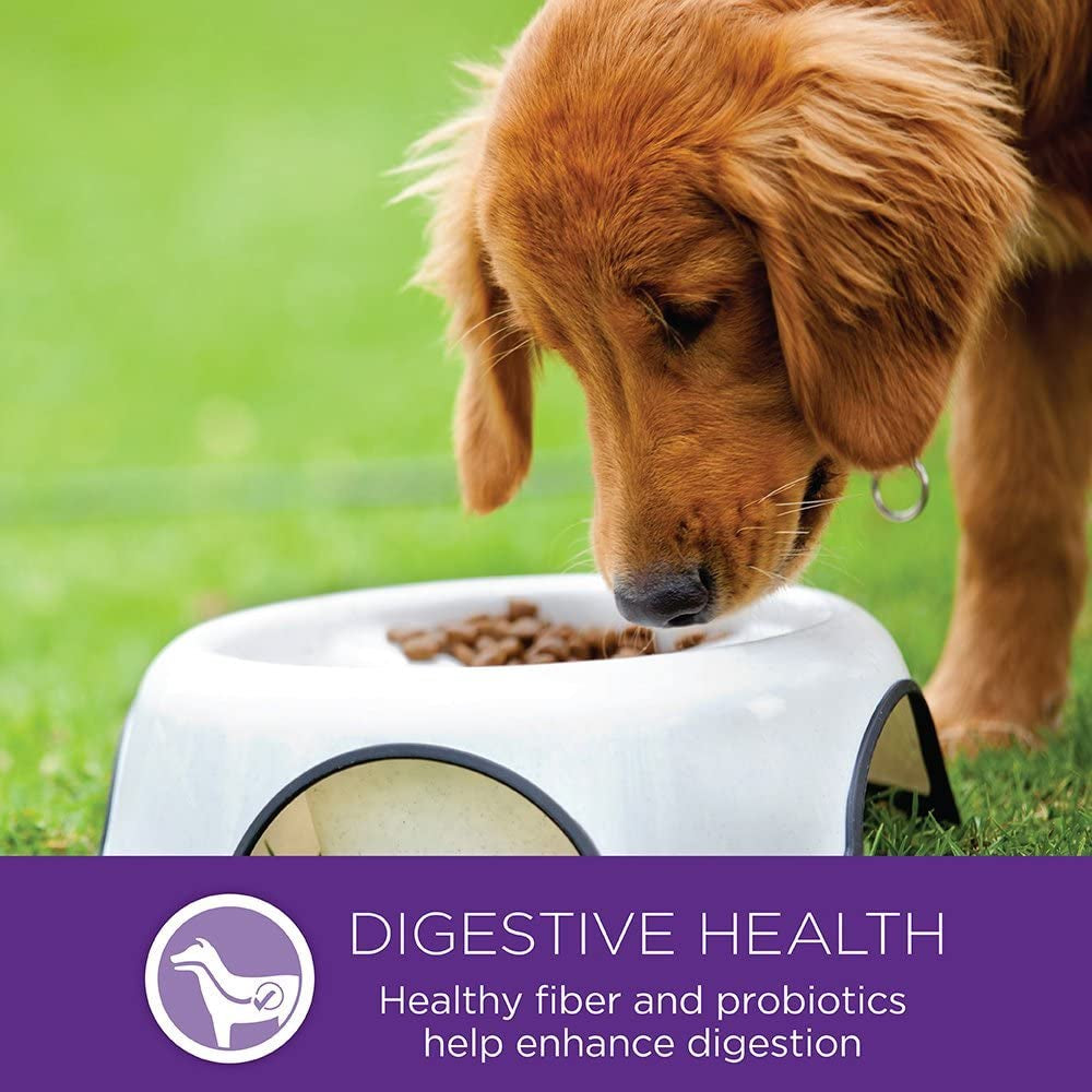 wellness-complete-health-small-breed-adult-dry-dog-food-wholesome-grain-kibble-natural-turkey-and-oatmeal-recipe-4-lb-bag