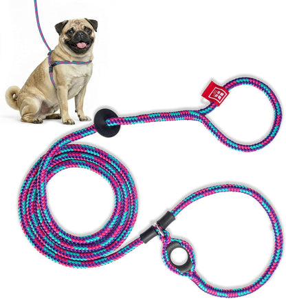 Harness Lead Escape Resistant, Reduces Pull Dog Harness, Medium/Large, Black19