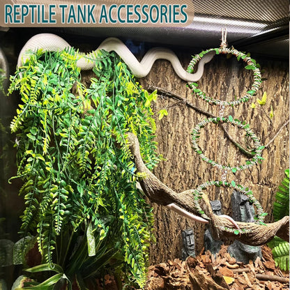Snake Climbing Rings for Ball Python- Enclosure Accessories – Reptile Habitat Decor, Climbing Branches & Bedding for Ball Python, for Corn Snake Enhancement Ring Toys3