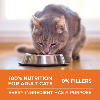 Purina ONE High Protein, Healthy plus Ideal with Chicken Dry Cat Food Control Formula - 7 Lb. Bag7