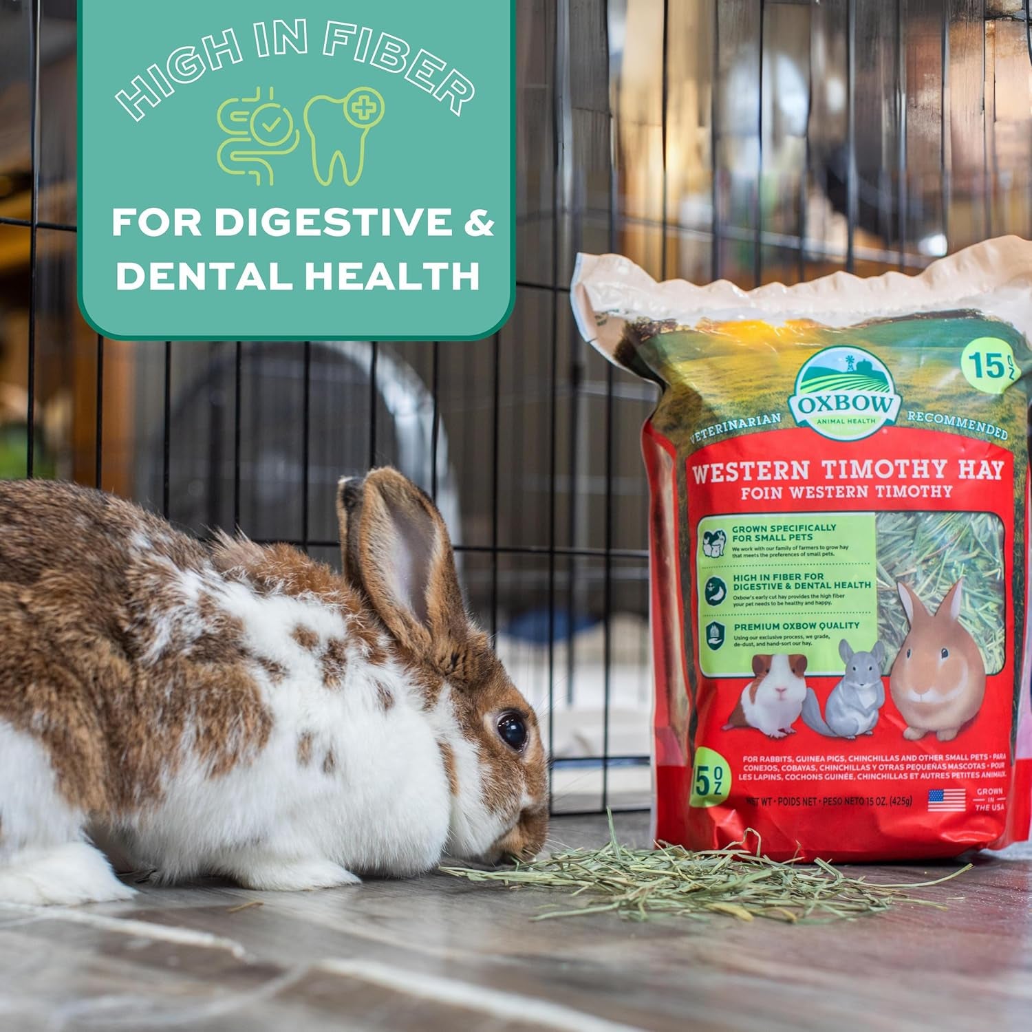 oxbow-western-timothy-hay-guinea-pig-hay-small-pet-bunny-supplies-all-natural-grass-for-guinea-pig-bunny-chinchilla-hamster-oxbow-rabbit-supplies-for-bunnies-9-lb-box-oxbow-timothy-hay-bunny-hay-for-rabbits-guinea-pigs-bunnies-and-chinchillas-hand-sorted-de-dusted-made-in-usa