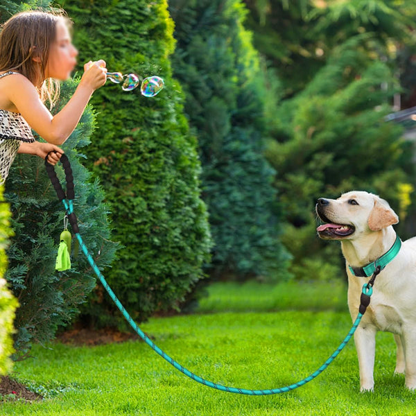 Dynmeow Reflective Dog Collar and Leash Set for Large Dogs, Teal | Soft Neoprene Padded, 6FT Climbing Rope, Ideal for Daily Outdoor Walking or Indoor Wearing, Night Visible for Safety6