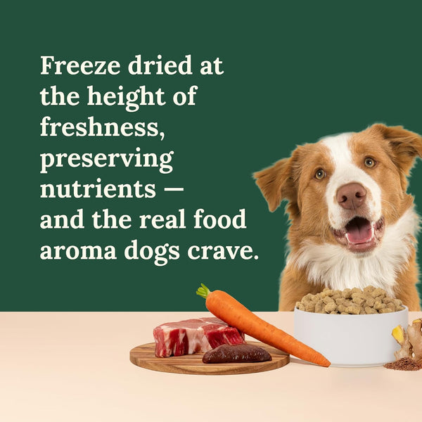 360 Pet Nutrition Freeze-Dried Raw Dog Food – Beef Recipe with Liver & Organs, High Protein with Omega-3S, Fruits, Veggies & Superfoods, Grain-Free, No Fillers, 1 Lb – Made in USA6