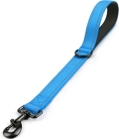 Joytale Short Dog Leash for Close Control & Training, 18", Black | Padded Comfort Handle, Reinforced Nylon Webbing, Secure Metal Clip, for Busy Streets & Heel Training19
