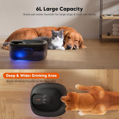 WOPET Dog Water Fountain for Large Dogs, 6L/205Oz/1.6Gal Automatic Dog and Cat Water Fountain, Pet Water Dispenser with 2 Filters, Ultra-Quiet Pump, Great for Large Dogs Cats and Multi-Pet Home2