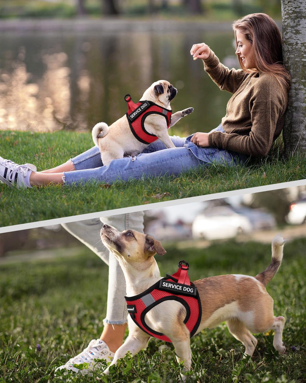 fayogoo-service-dog-vest-for-small-dogs-lightweight-dog-harness-with-6pcs-removable-patches-puppy-harness-and-leash-set-for-walking-training