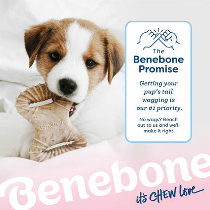 Benebone Puppy 2-Pack Dental Chew/Wishbone Dog Chew Toys, Made in USA, Real Bacon Flavor6