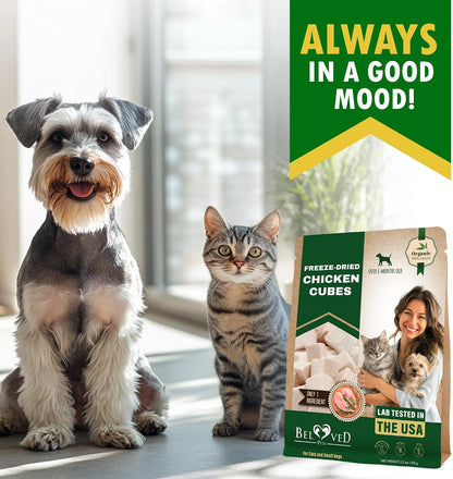 Beloved Pets Dog & Cat Treats Freeze Dried Chicken Cubes 5.3 Oz - All Natural Meat Raw Pet Food - Human Grade High-Protein Snacks & Grain-Free Jerky Chews for Cats and Small Dogs7