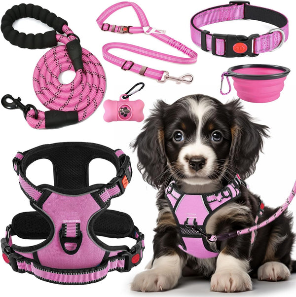 LOBEVE No Pull Dog Harness, Collar & Leash Set | Includes Dog Seat Belt, Collapsible Bowls & Poop Bag Dispenser. Ideal for Training, Walking, Hiking. Fits Small to Large Dogs(Pink-L)11