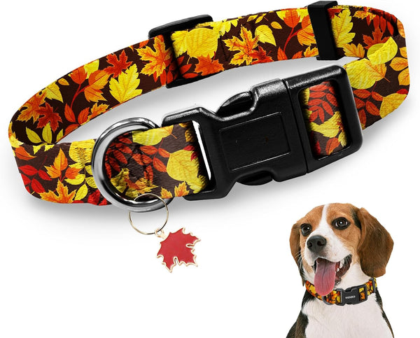 Kazazoo Dog Collar Cute and Soft Nylon Puppy Collar Girl Dogs, Adjustable Purple Dog Collars for Medium Dogs, Purple Flowers-M16