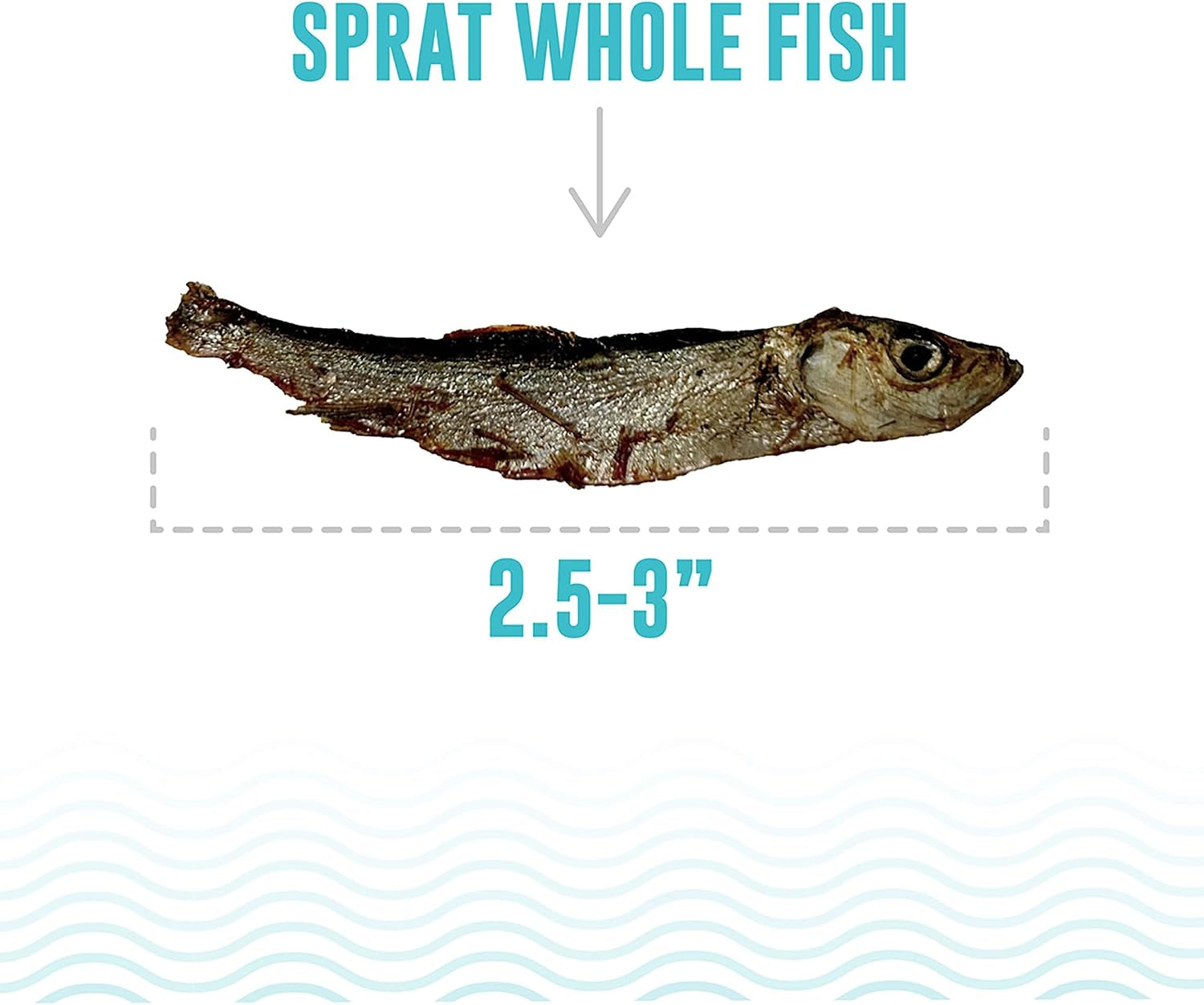 icelandic-whole-sprat-cat-treats-0-85-oz-wild-caught-crunchy-fish-snacks-single-ingredient-air-dried-2-5-3-fish-high-protein-omega-3-for-skin-coat-health-no-additives-or-fillers