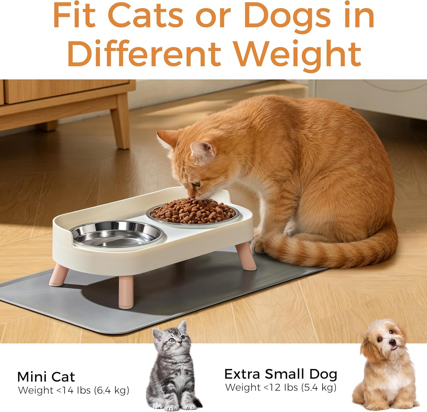 loejan-elevated-cat-bowls-set-raised-cat-food-and-water-bowl-set-with-non-slip-stand-pet-feeding-station-with-2-stainless-steel-bowls-with-splash-proof-guard