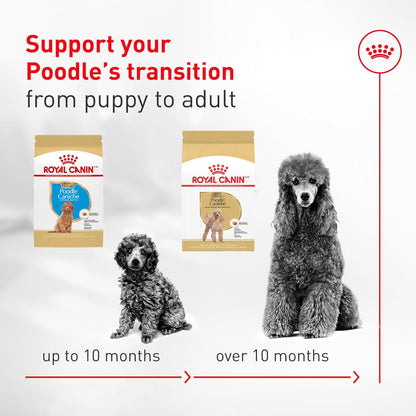 ROYAL CANIN Breed Breed Health Nutrition Poodle Adult Dry Dog Food8
