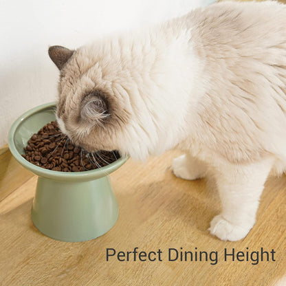 CEEFU Extra Wide Elevated Ceramic 6.2" Shallow Cat Food Bowl | Cat Dish for Whisker Fatigue Relief, 5" Height for Easy Feeding, Lead & Cadmium Free, Durable Raised Cat Bowl, Sage Green2