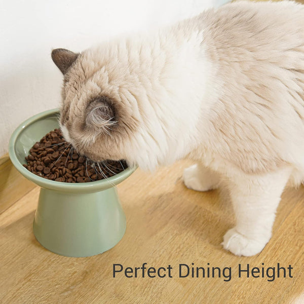 CEEFU Extra Wide Elevated Ceramic 6.2" Shallow Cat Food Bowl | Cat Dish for Whisker Fatigue Relief, 5" Height for Easy Feeding, Lead & Cadmium Free, Durable Raised Cat Bowl, Sage Green2