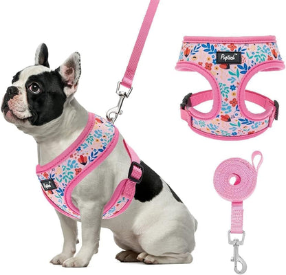 PUPTECK Soft Mesh Dog Harness Small Sized and Leash Set Pet Puppy Cat Comfort Padded Vest No Pull Harnesses, Beige, S47