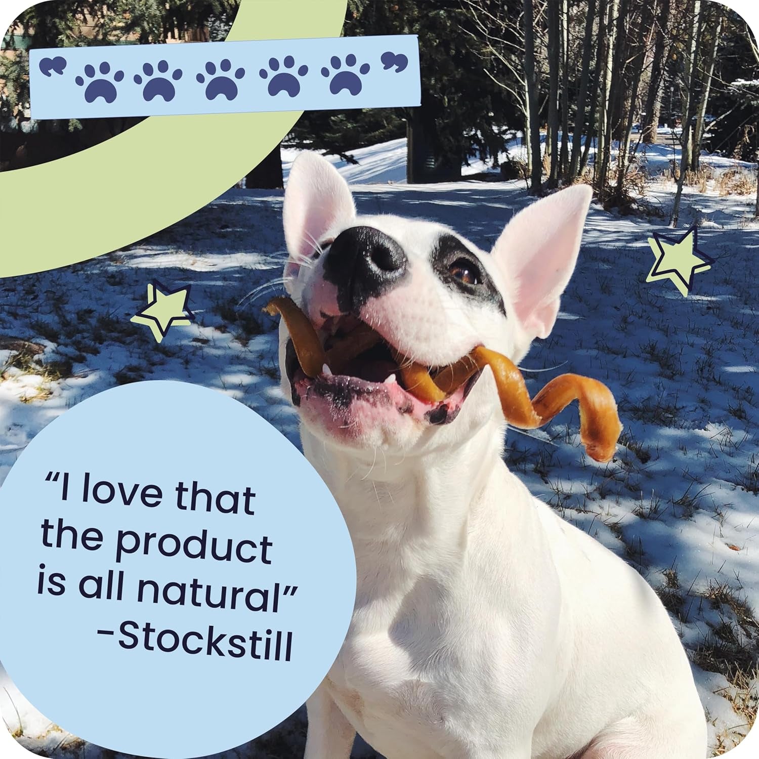 pawstruck-natural-5-8-bully-sticks-for-dogs-best-long-lasting-rawhide-free-low-odor-dental-chew-treat-healthy-single-ingredient-100-real-beef-8-oz-bag-packaging-may-vary