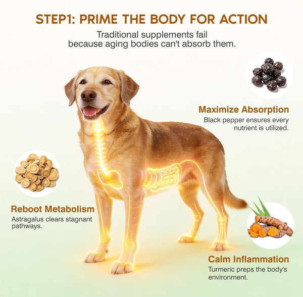 Turkey Tail Mushroom for Dogs,Senior Dog Supplement for Lumps, Bumps & Lipoma,Soft Chews with Reishi, Maitake, Turmeric & Astragalus,Supports Immune Health,Natural Chicken Flavor, 120 Count3