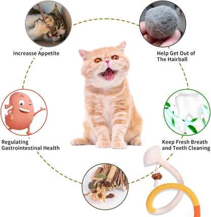 Kyouki Cat Toys Cat Chew Toys, Silvervine Sticks Catnip Rope Toys for Cats Teeth Cleaning, Kitten Dental Care, Kitty for Indoor Cats Increase Appetite,Enhances Oral & Dental Health (21 Pack)4