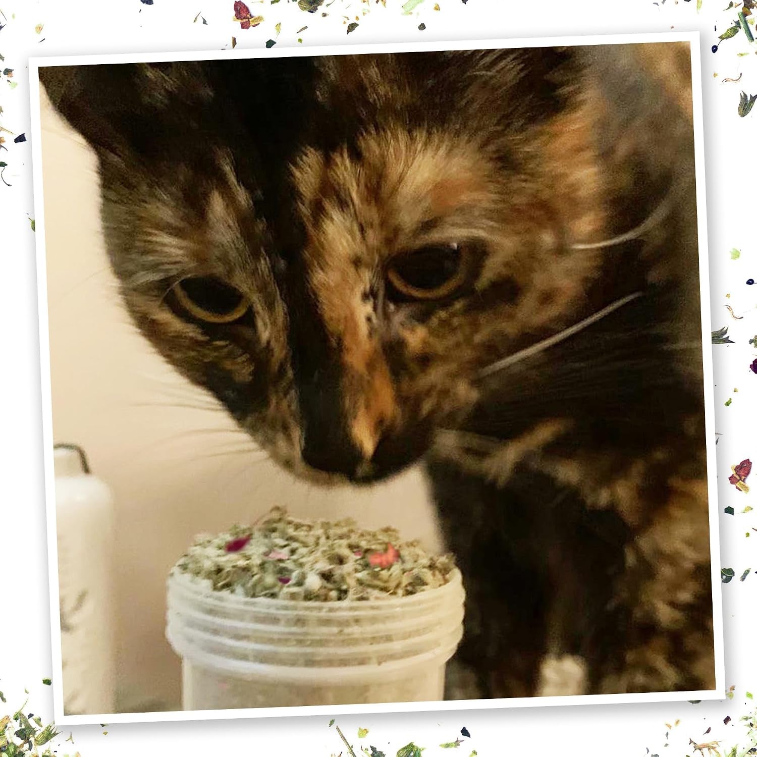 meowijuana-winter-lift-catnip-blend-high-potency-hand-harvested-organic-hand-harvested-north-american-catnip-blend-for-cats-fine-ground-for-toys-beds-scratchers-play-or-calm