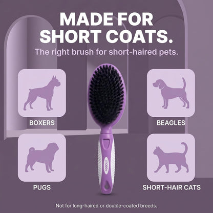 Soft Bristle Dog Brush for Short Haired Cats or Dogs - Firm Bristles to Remove Dust, Dirt, and Loose Fur - Hook and Rubber Handle5
