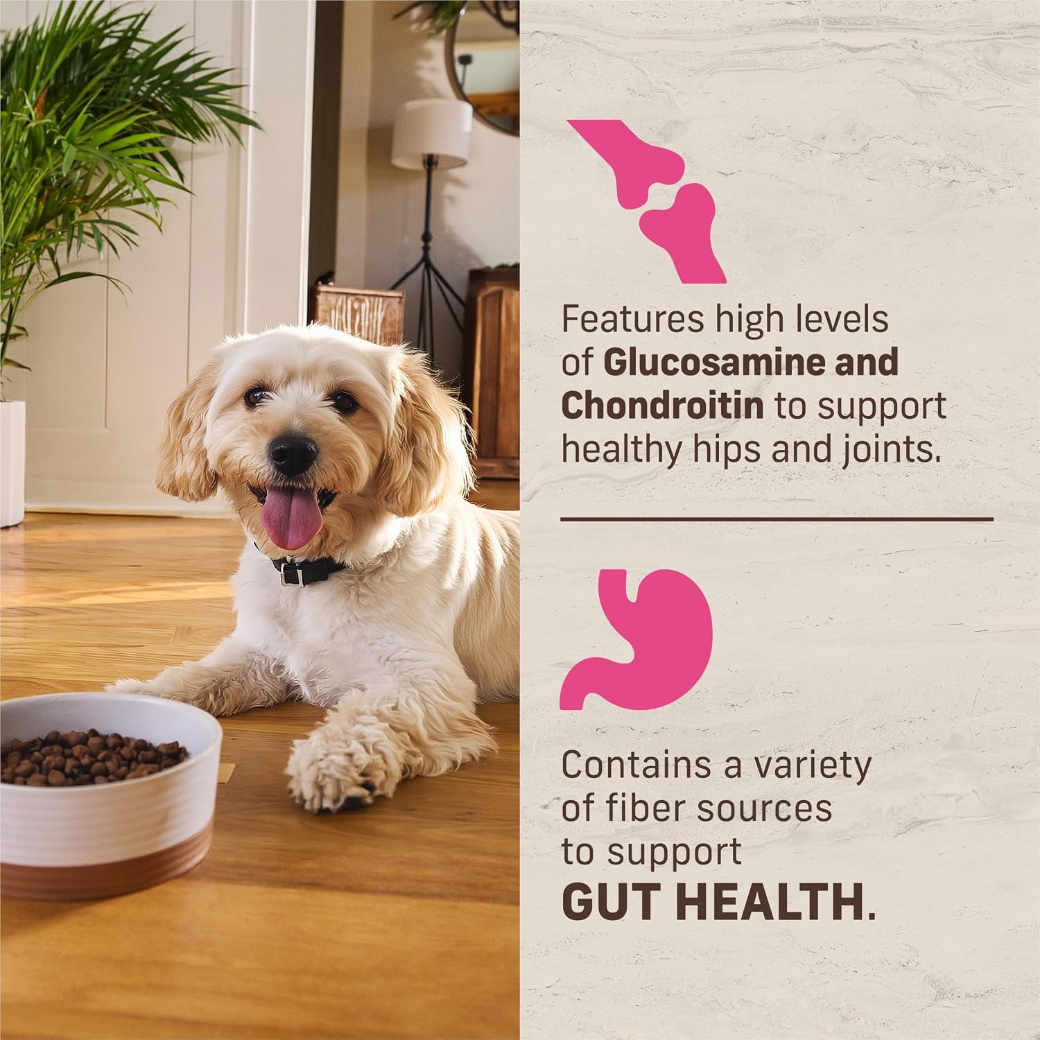 merrick-healthy-grains-premium-dry-dog-food-for-small-dogs-wholesome-and-natural-kibble-small-breed-recipe-4-0-lb-bag