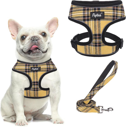 PUPTECK Soft Mesh Dog Harness Small Sized and Leash Set Pet Puppy Cat Comfort Padded Vest No Pull Harnesses, Beige, S39
