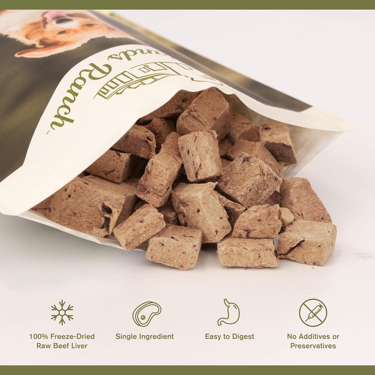badlands-ranch-by-katherine-heigl-superfood-bite-freeze-dried-raw-beef-liver-dog-treats-high-protein-single-ingredient-snacks-for-training-rewards-daily-wellness