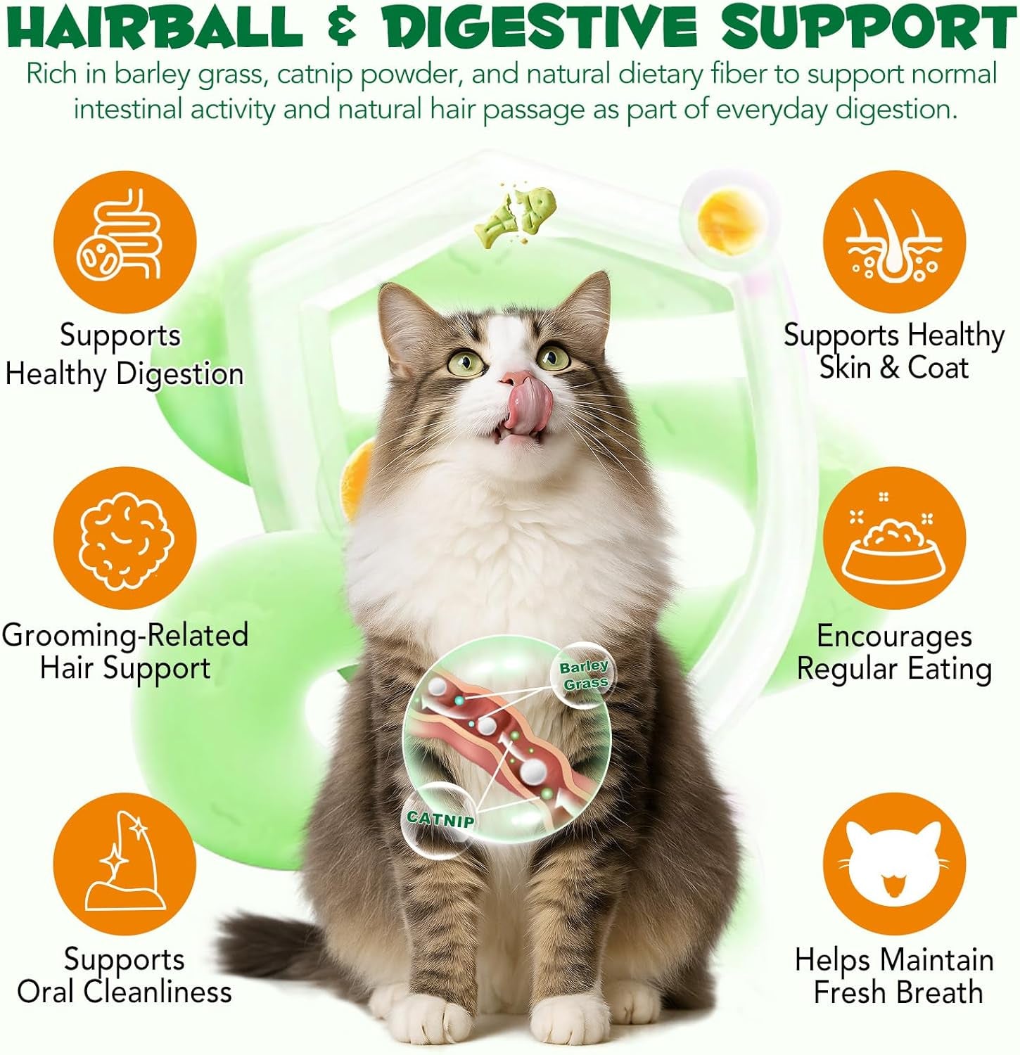 180g-6-4oz-cat-grass-treats-for-hairball-control-natural-teeth-cleaning-fresh-breath-crunchy-catnip-flavored-biscuits-with-barley-grass-cat-training-rewards-for-all-breeds