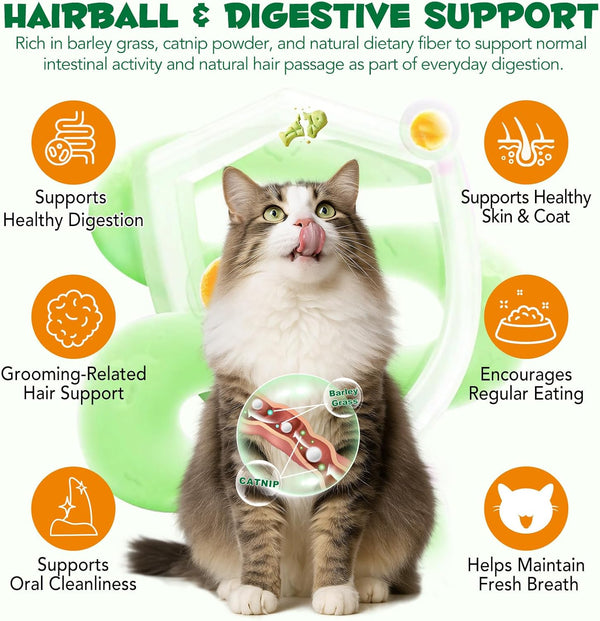 180G/6.4Oz Cat Grass Treats for Hairball Control, Natural Teeth Cleaning & Fresh Breath, Crunchy Catnip Flavored Biscuits with Barley Grass, Cat Training Rewards for All Breeds4