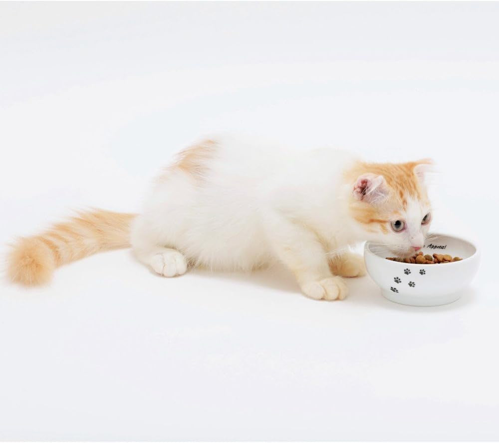 necoichi-shallow-wide-ceramic-cat-food-water-bowl-paw-basic-flat