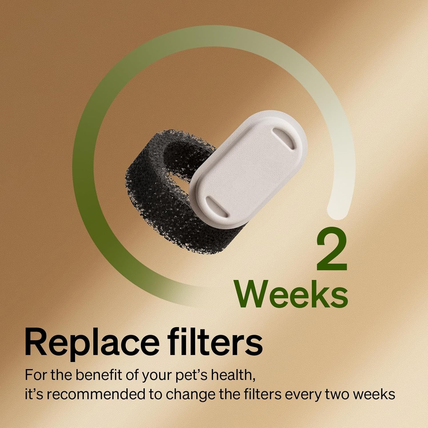 petlibro-replacement-filters-for-cat-water-fountain-stainless-steel-67oz-2l-adjustable-water-flow-pet-water-fountain-super-quiet-dog-water-dispenser