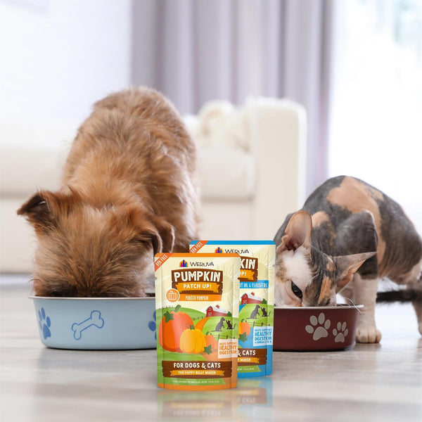 Weruva Pumpkin Patch Up!, Pumpkin Puree Pet Food Supplement for Dogs & Cats, 2.80Oz Pouch (Pack of 12)9