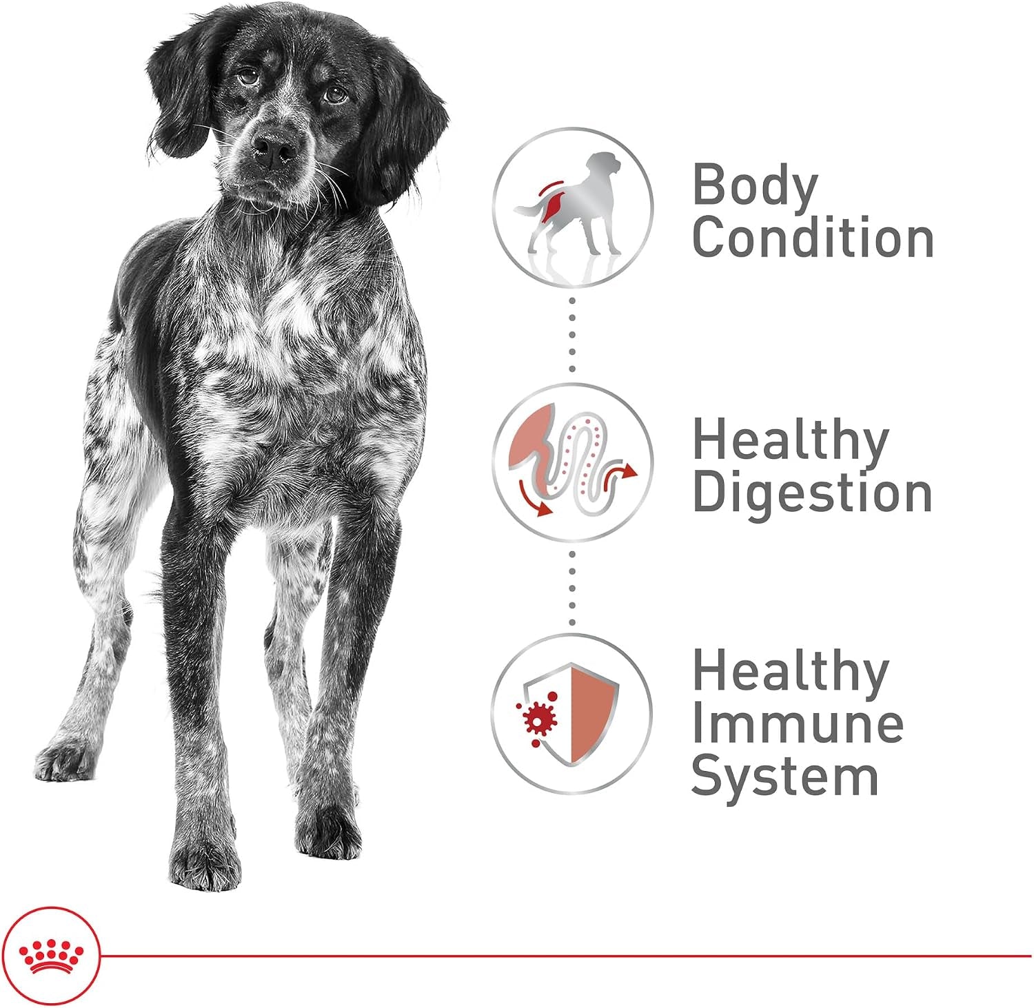 royal-canin-size-health-nutrition-medium-adult-dry-dog-food-17-lb-bag