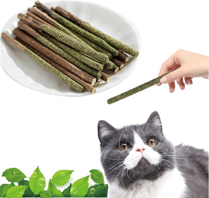 Natural Silvervine & Catnip Dental Chew Sticks,12 PC | 100% Natural Dental Chews (6 Catnip, 6 Silvervine Fruit). Cleans Teeth, Freshens Breath, and Relieves Kitten Teething1