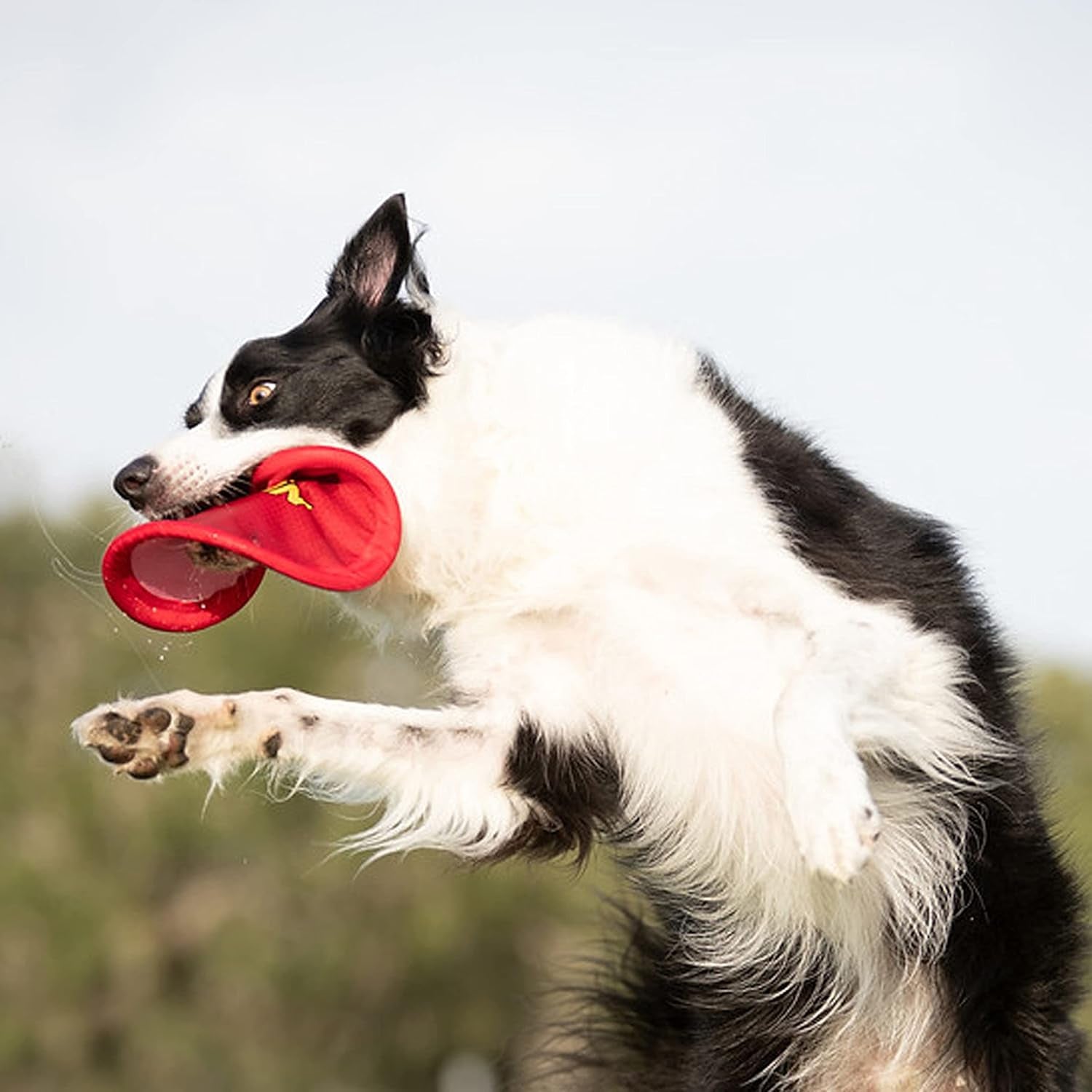 nerf-dog-nylon-flyer-dog-toy-flying-disc-lightweight-durable-and-water-resistant-great-for-beach-and-pool-9-inch-diameter-for-medium-large-breeds-single-unit-red