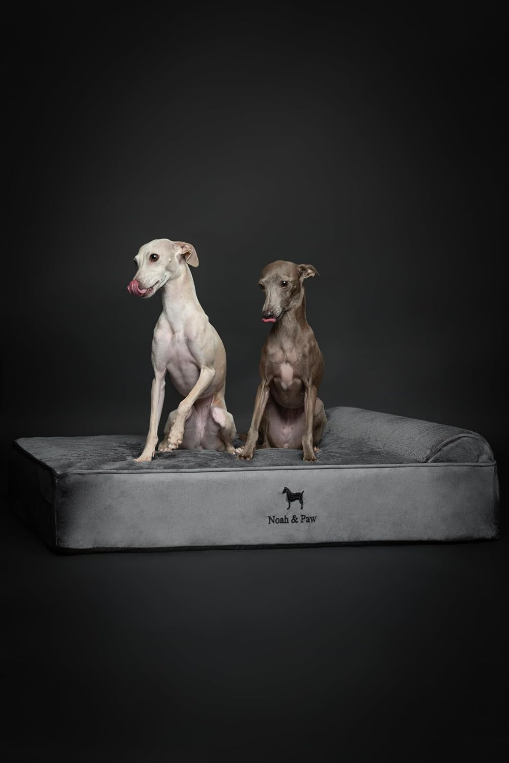 noah-paw-large-dog-bed-35x25x8-7-inch-orthopedic-dog-beds-eggshell-memory-foam-infused-with-cooling-gel-water-resistant-machine-washable-includes-inner-cover-velvet-collection