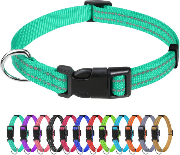 Tagme Small Dog Collar, Reflective Puppy Collar, Sky Blue, 3/8" Width | Lightweight, Nylon Collar for Puppies, Chihuahua, Yorkie & Teacup Dogs 5-15 Lbs, Reflective for Evening Walks, 12 Colors49
