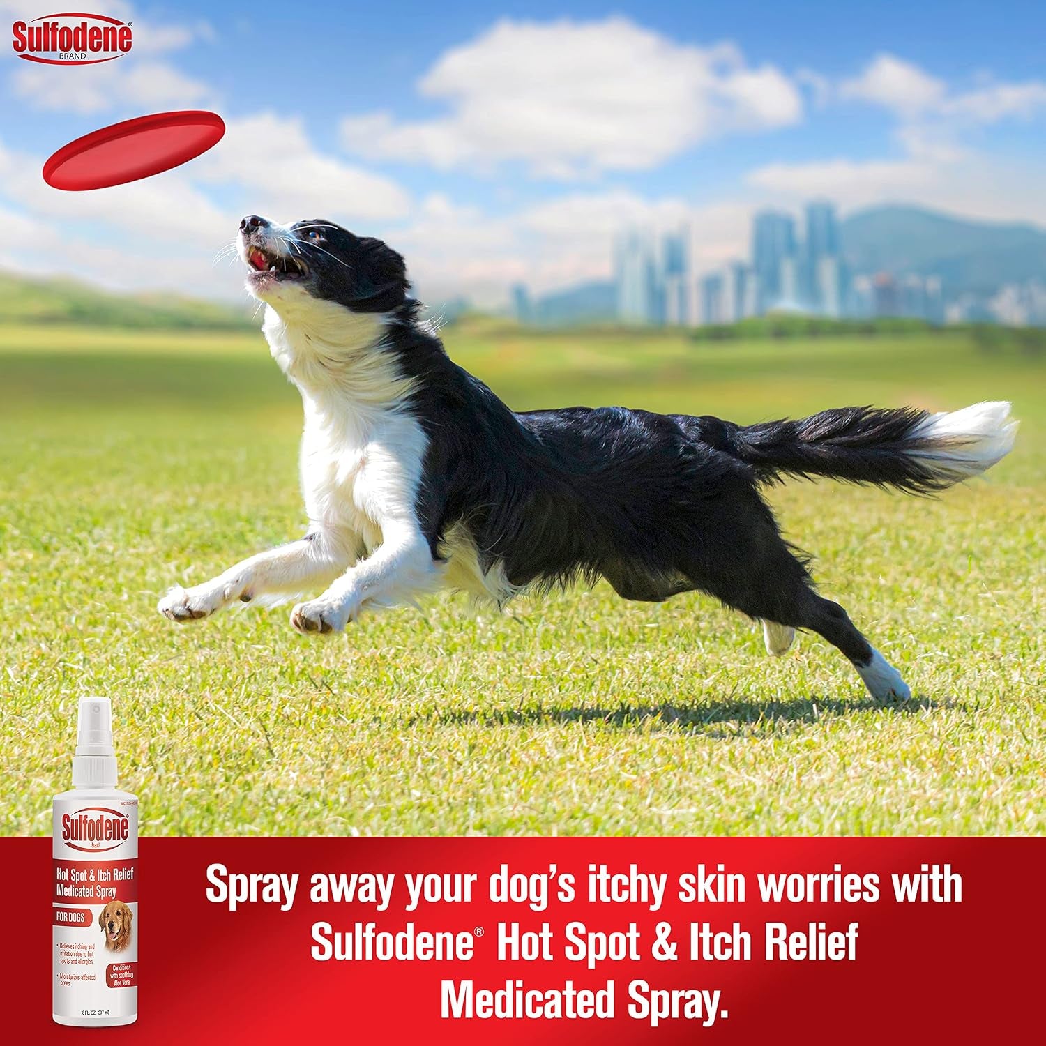 sulfodene-hot-spot-itch-relief-medicated-spray-for-dog-8oz-vet-recommended-anti-itch-spray-for-dogs-with-aloe-vera-dog-hot-spot-spray-for-allergies-scrapes-and-abrasions
