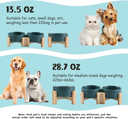 SPUNKYJUNKY 15° Slanted Ceramic Dog and Cat Bowl with Wooden Stand, Tilted Bulldog Food and Water Bowl No Slip Non-Spill for Cats Medium Dogs Big Face Pets 13.5 OZ (1.7 Cups, Green × 2)5