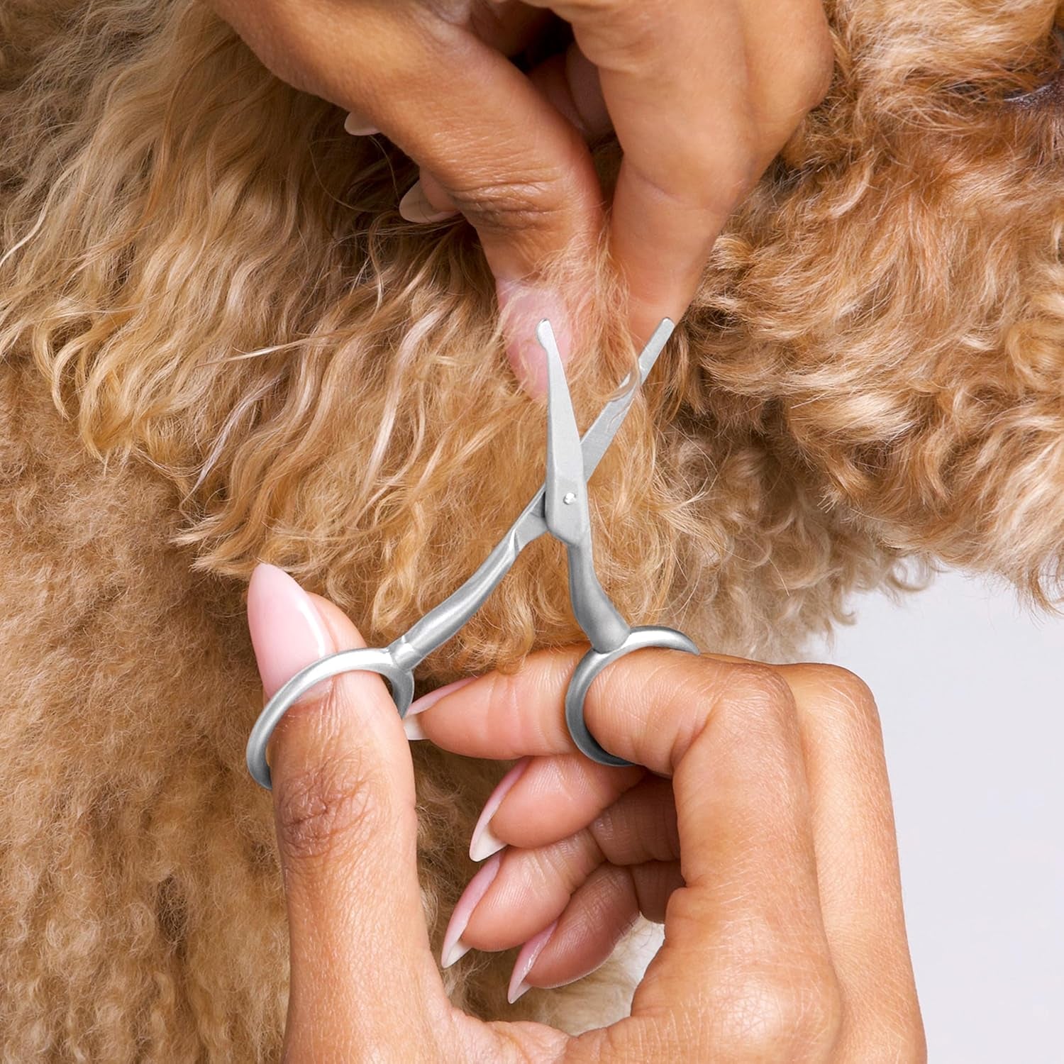 tweezerman-pet-grooming-scissors-rounded-tip-trimming-scissor-for-dogs-cats
