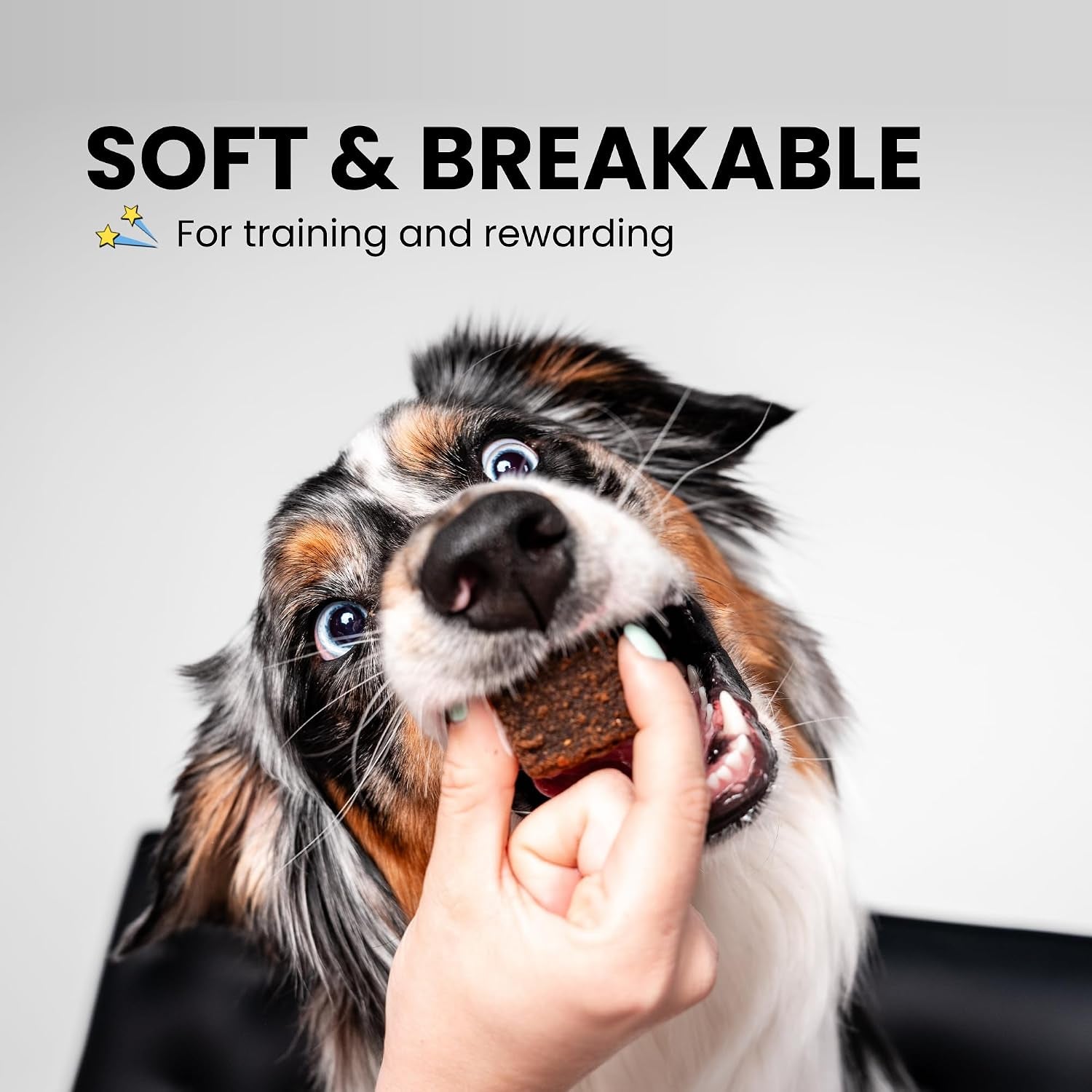 fish-dog-treats-for-skin-coat-healthy-soft-chews-with-real-pumpkin-grain-free-easy-to-digest-for-training-or-rewards-for-small-large-dogs-natural-ingredients-for-sensitive-stomach-made-in-usa