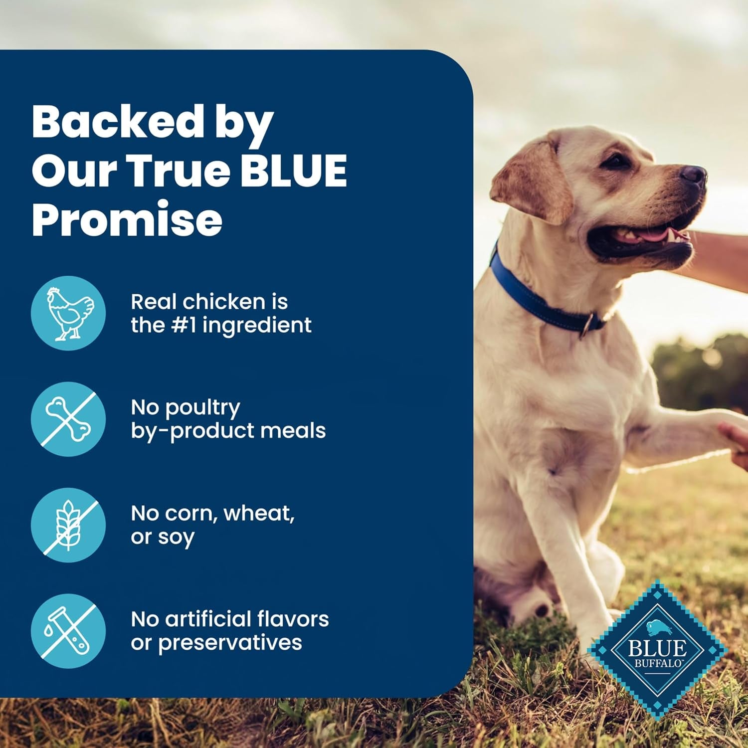 blue-buffalo-homestyle-recipe-chicken-vegetable-dinner-pate-natural-wet-dog-food-for-senior-7-dogs-made-with-natural-ingredients-vitamins-minerals-12-5-oz-can-12-count