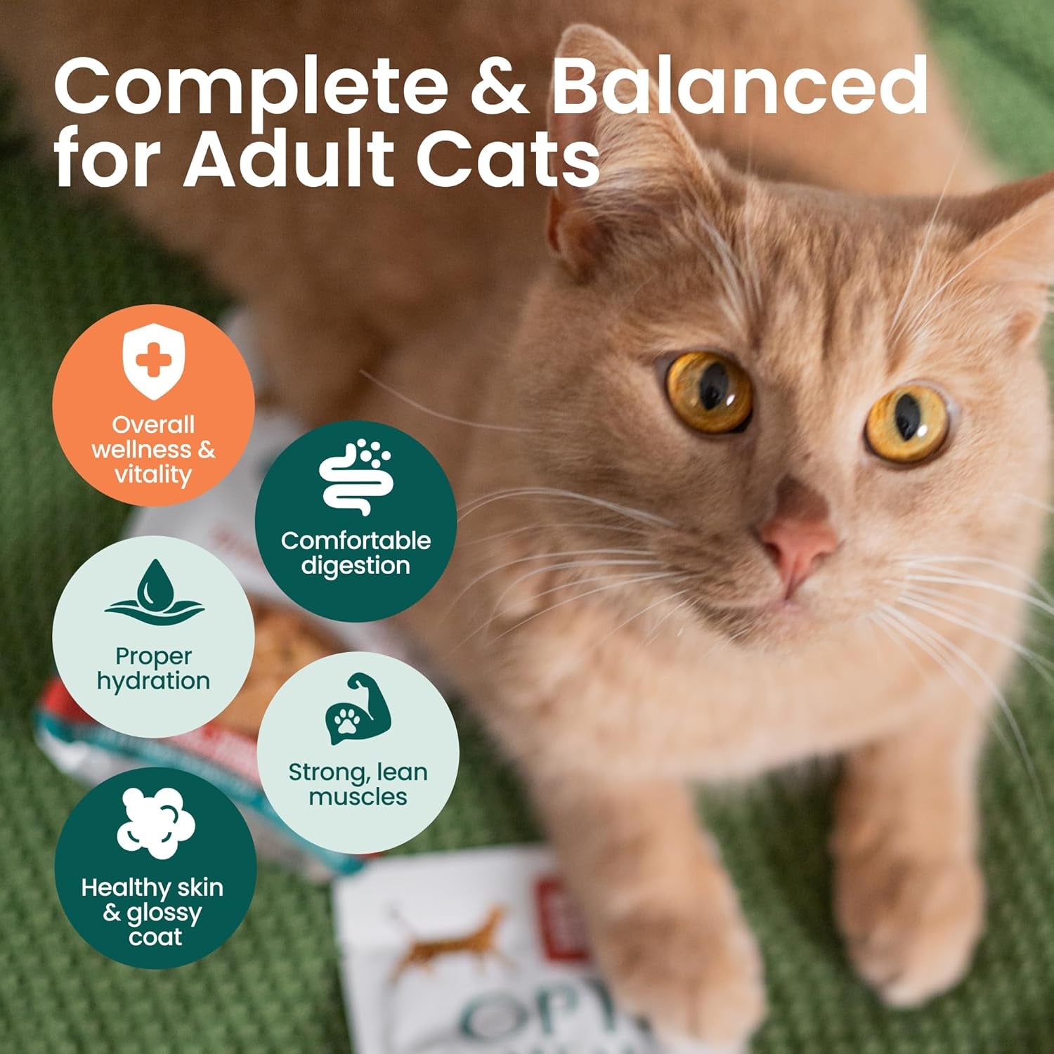 optimeal-wet-cat-food-variety-pack-savory-protein-selection-grain-free-tender-morsels-high-protein-premium-nutrition-made-with-natural-european-ingredients-adult-cat-pouches-3oz-pack-of-12