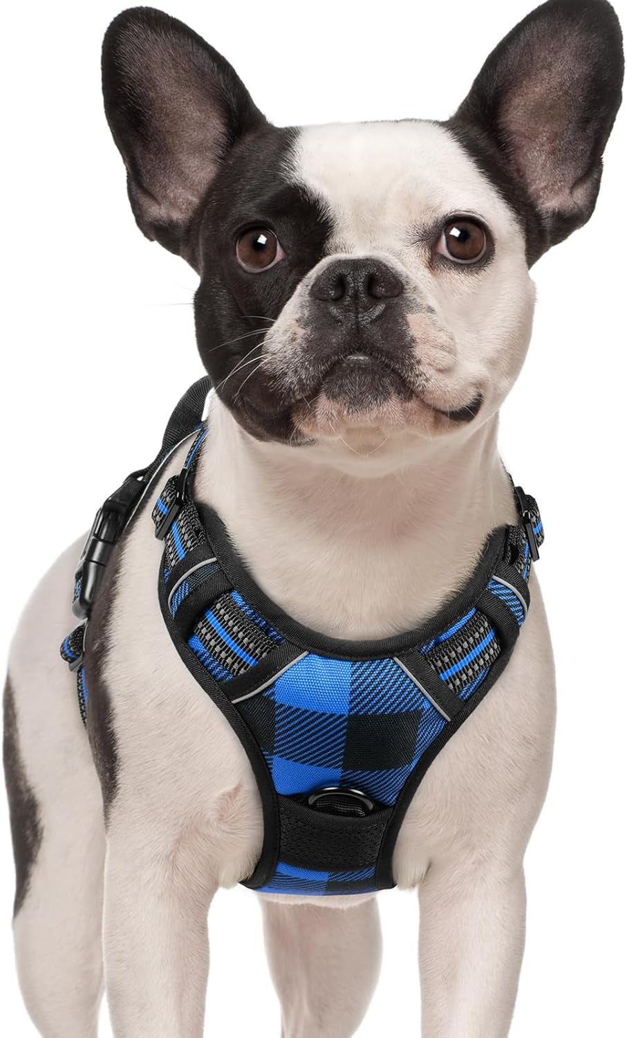 rabbitgoo-dog-harness-no-pull-for-large-dogs-with-2-leash-clips-pet-vest-no-choke-with-handle-adjustable-soft-padded-reflective-easy-control-for-walking-black-large