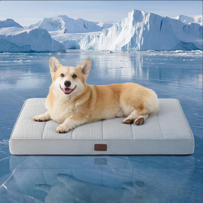 Bedsure Washable Dog Beds Large Sized Dog with Comfy Sherpa, 36X27In Grey | Orthopedic Egg Crate Foam,Comfort Support Flat Rectangle Pet Mat,Non-Slip Bottom,Removable Cover,For Large Breed up to 55 Lbs43