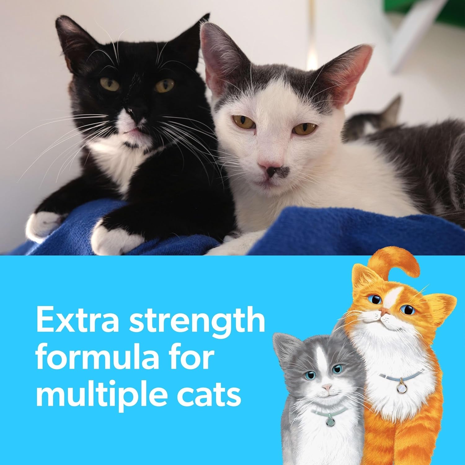 fresh-step-multi-cat-litter-scented-with-febreze-25-lb