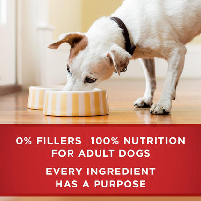 Purina ONE Natural High Protein Dog Food, Tender Cuts in Gravy Chicken and Brown Rice Entrée - 13 Ounce (Pack of 12)10