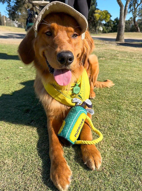PUPROAR Golf Dog Toy, Dog Birthday Gift, Funny Squeaky Plush Rope Golf Bag Toy for Small, Medium & Large Breeds4